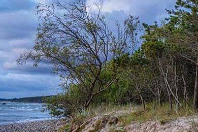 AC米兰-小胜都灵，继续领跑积分榜，ac米兰成绩