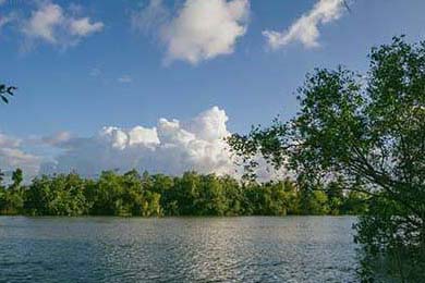 100 Thieves黑马之路持续，黑马uiue