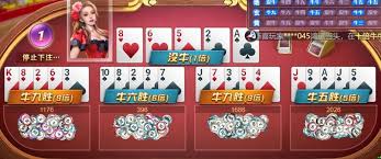 星空娱乐app下载-星空娱乐（官方）网站-XINGKONG